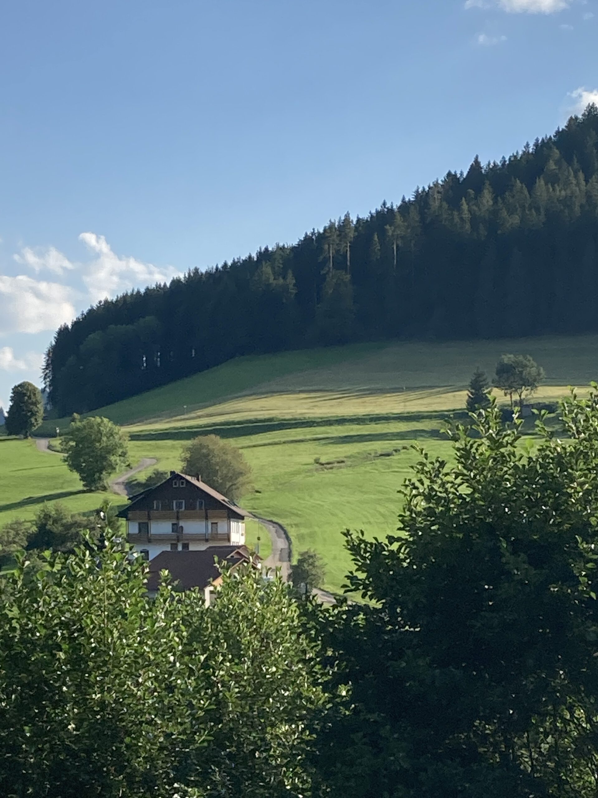 Ausblick vom Schwarzwaldnest